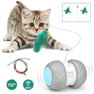 Smart LED Toy Car For Cats