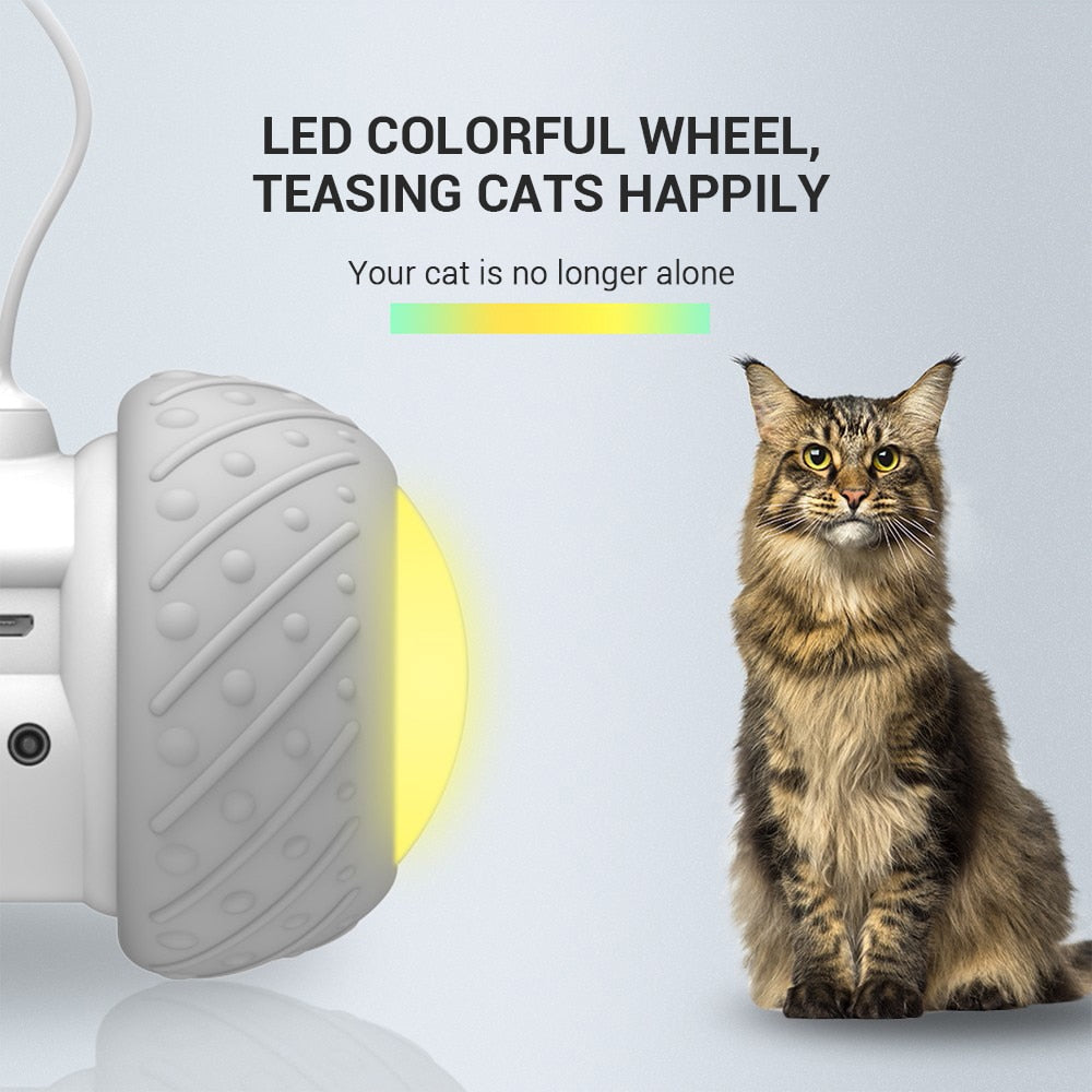 Smart LED Toy Car For Cats